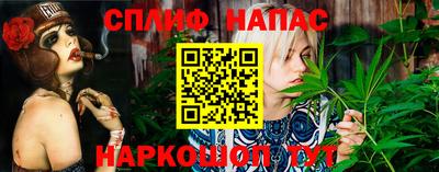 наркотики Сланцы