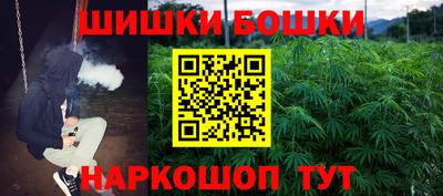 МДПВ Славгород