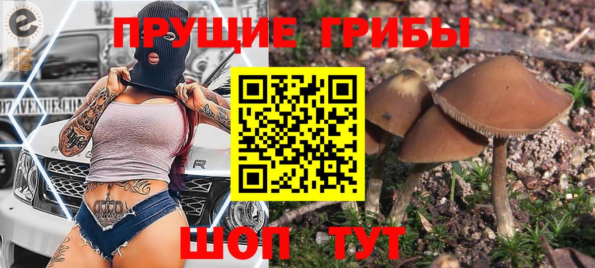Сарапул  Псилоцибиновые грибы мицелий  Псилоцибиновые грибы Magic Shrooms  Вход с VPN 